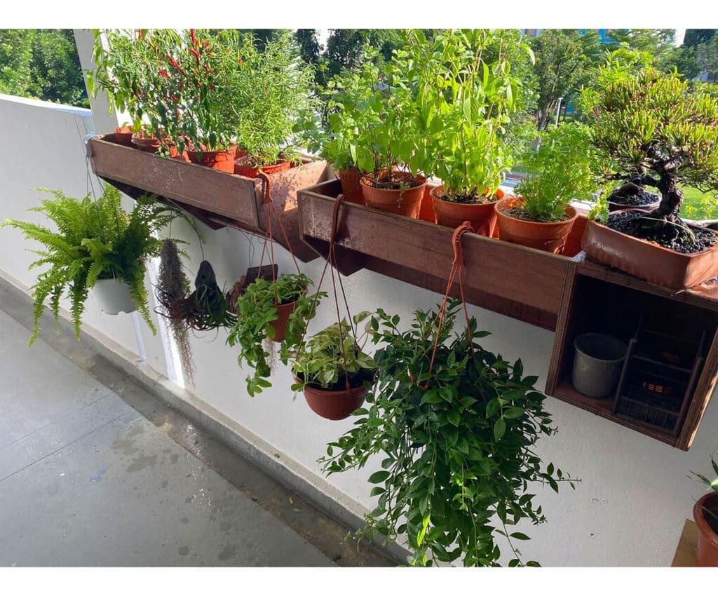 Good air circulation is the key to plants thriving in urban spaces
