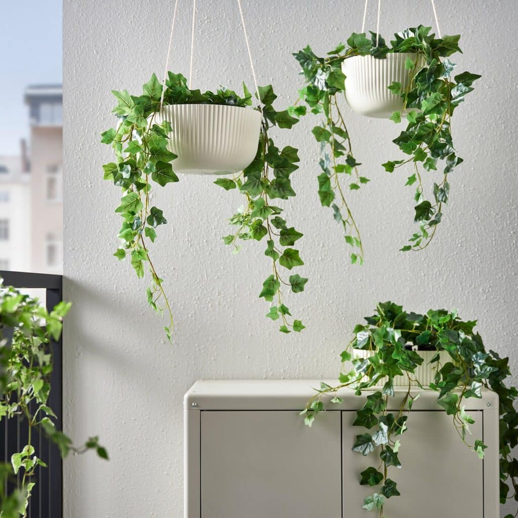 Hanging herbs are a great alternative to save space and create good air flow