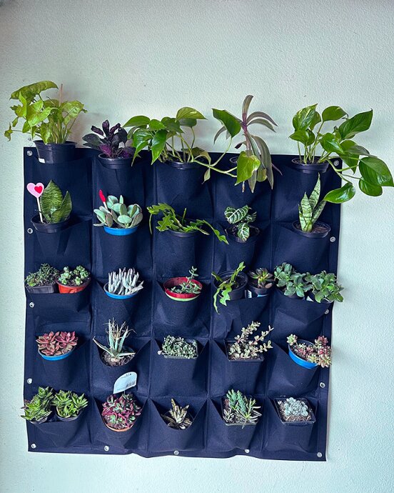 Seedlings growing in wall pockets, an alternative to hydroponics