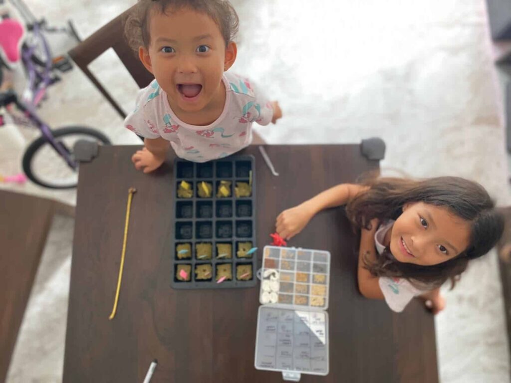 The Grobrix Journey began with Healthy Food for Kids