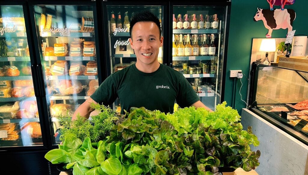 Yong Liang showcasing a fresh selection of greens harvested from a Grobrix green wall installation.