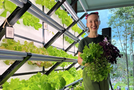 Mandai Wildlife Group Edible Green Wall Installation