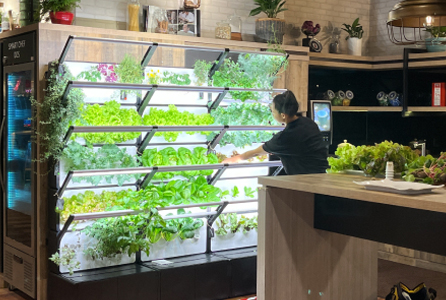 Grobrix Edible Green Wall in Sodexo