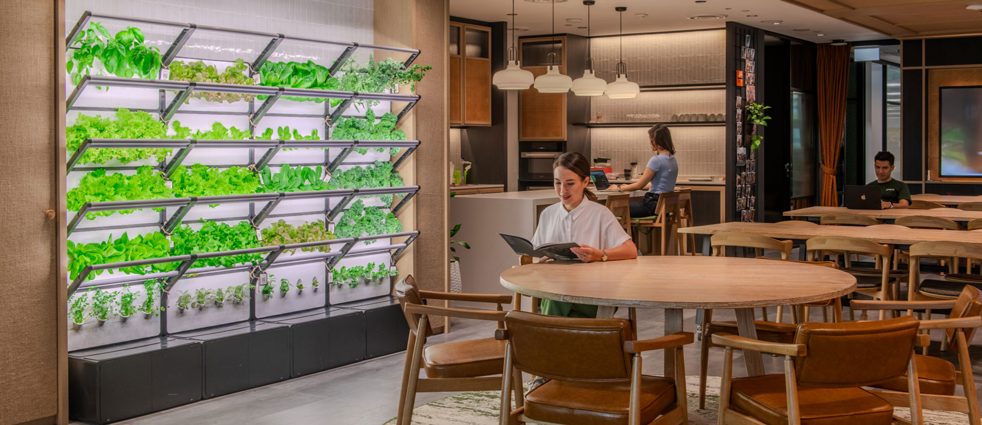 Staff enjoying the vertical green wall environment from Grobrix