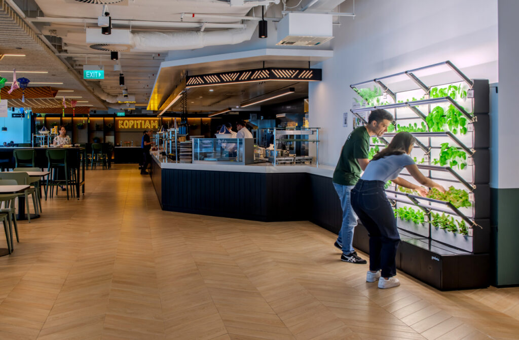 Grobrix: Our Vertical Green Wall Installations will brighten your office