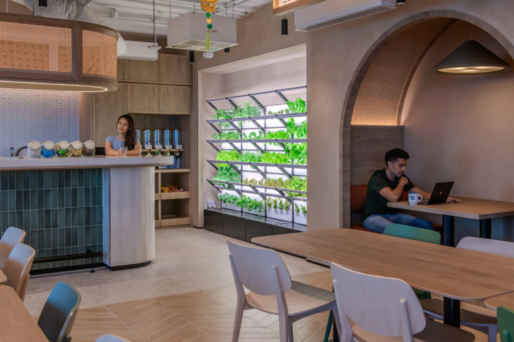 Edible Green Wall installation in office that uses hydroponics for soilless urban farming