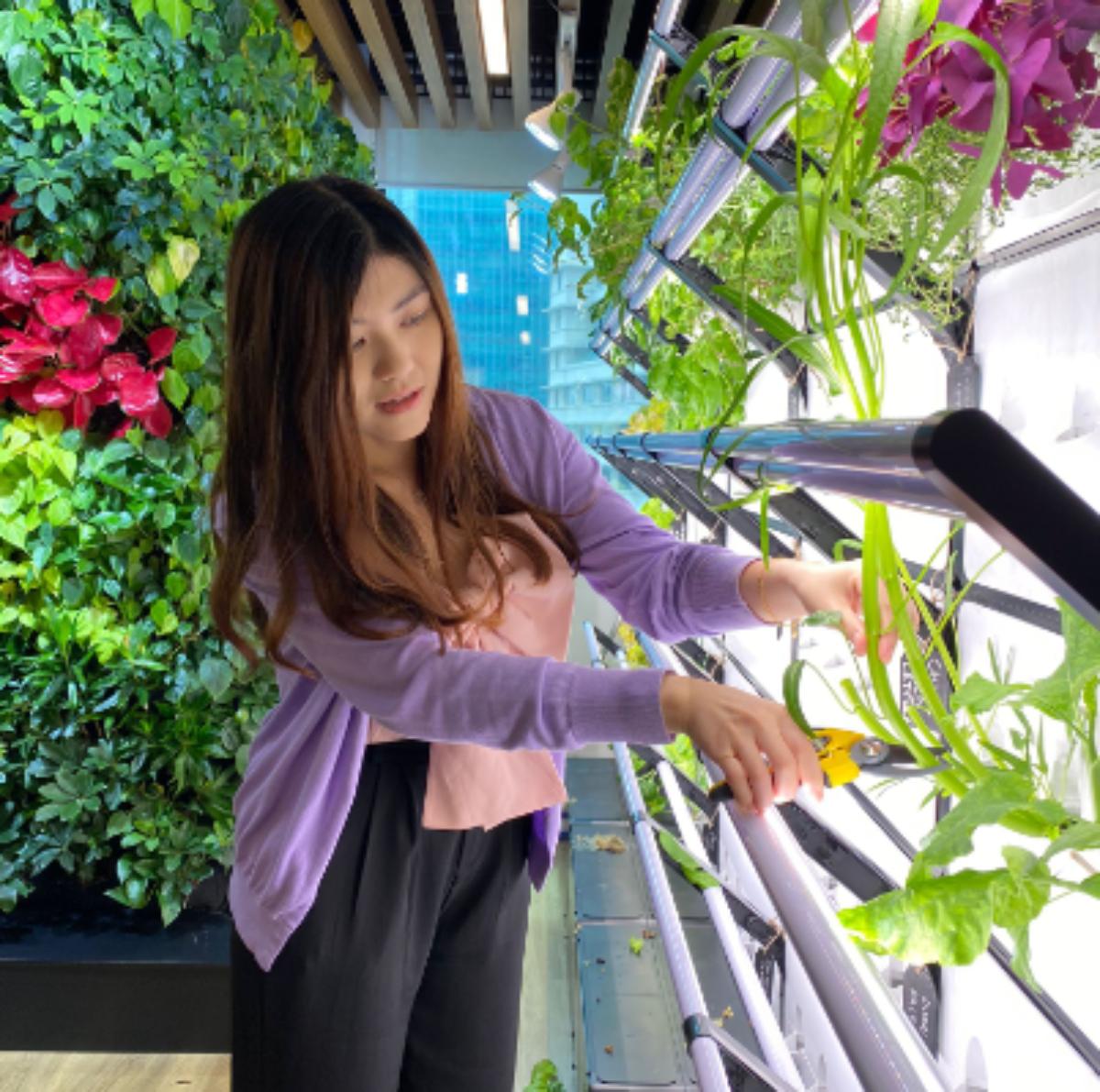 A women at work tending to an edible vertical garden looking happy and content