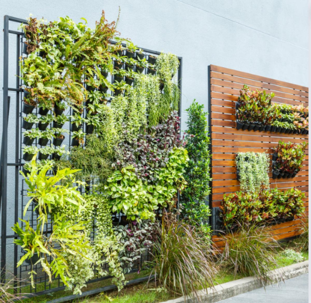 An outdoor vertical garden wall using a trellis system