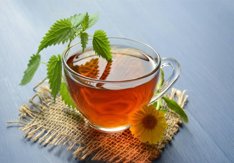 In this herbal tea making workshop we harvest fresh mint, lemon balm, oregano and a mystery herb, to brew into teas