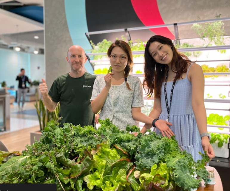 The Grobrix Team showcasing a plethora of freshly harvested edible leaves from the vertical garden
