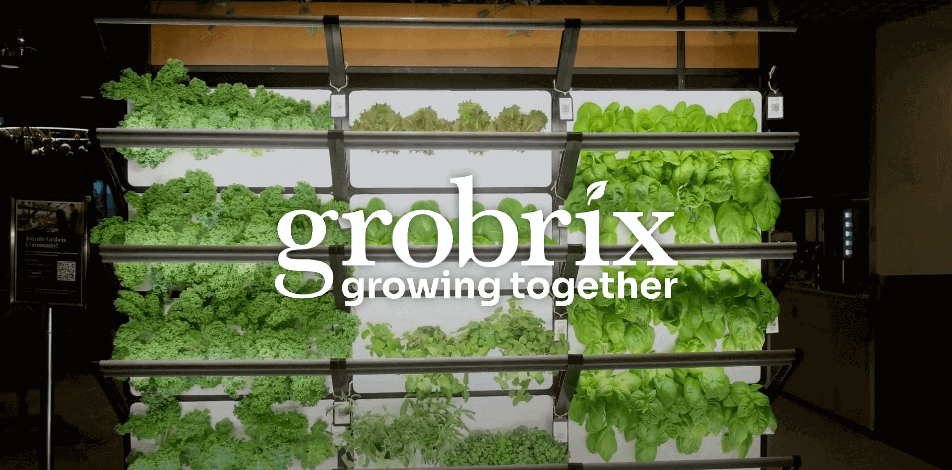 Grobrix growing together with a vertical green wall