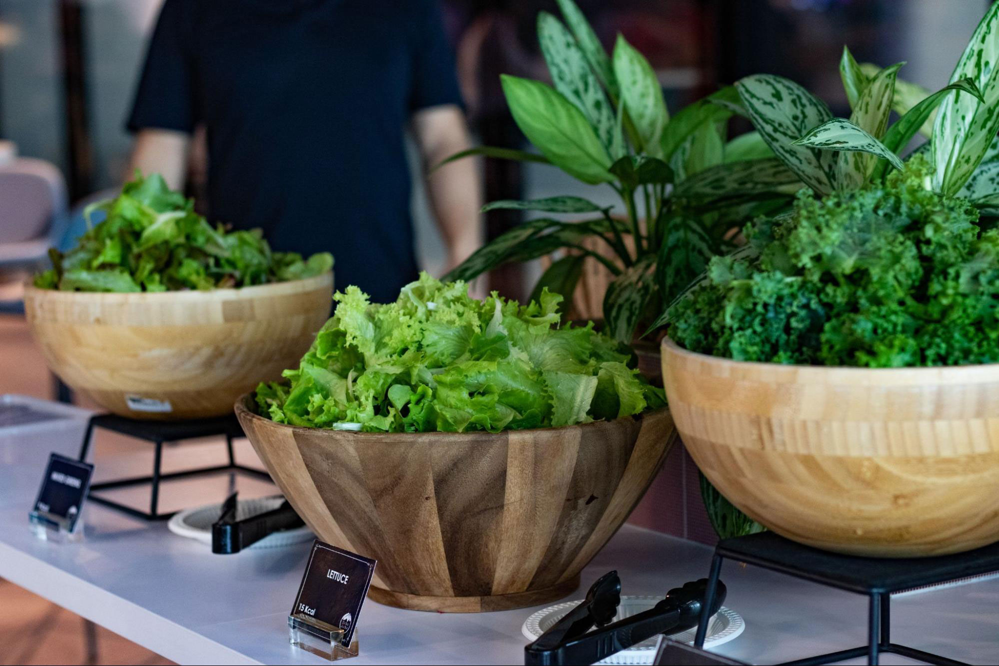 Bowls full of Grobrix Edible Green Leaves at Mediacorp