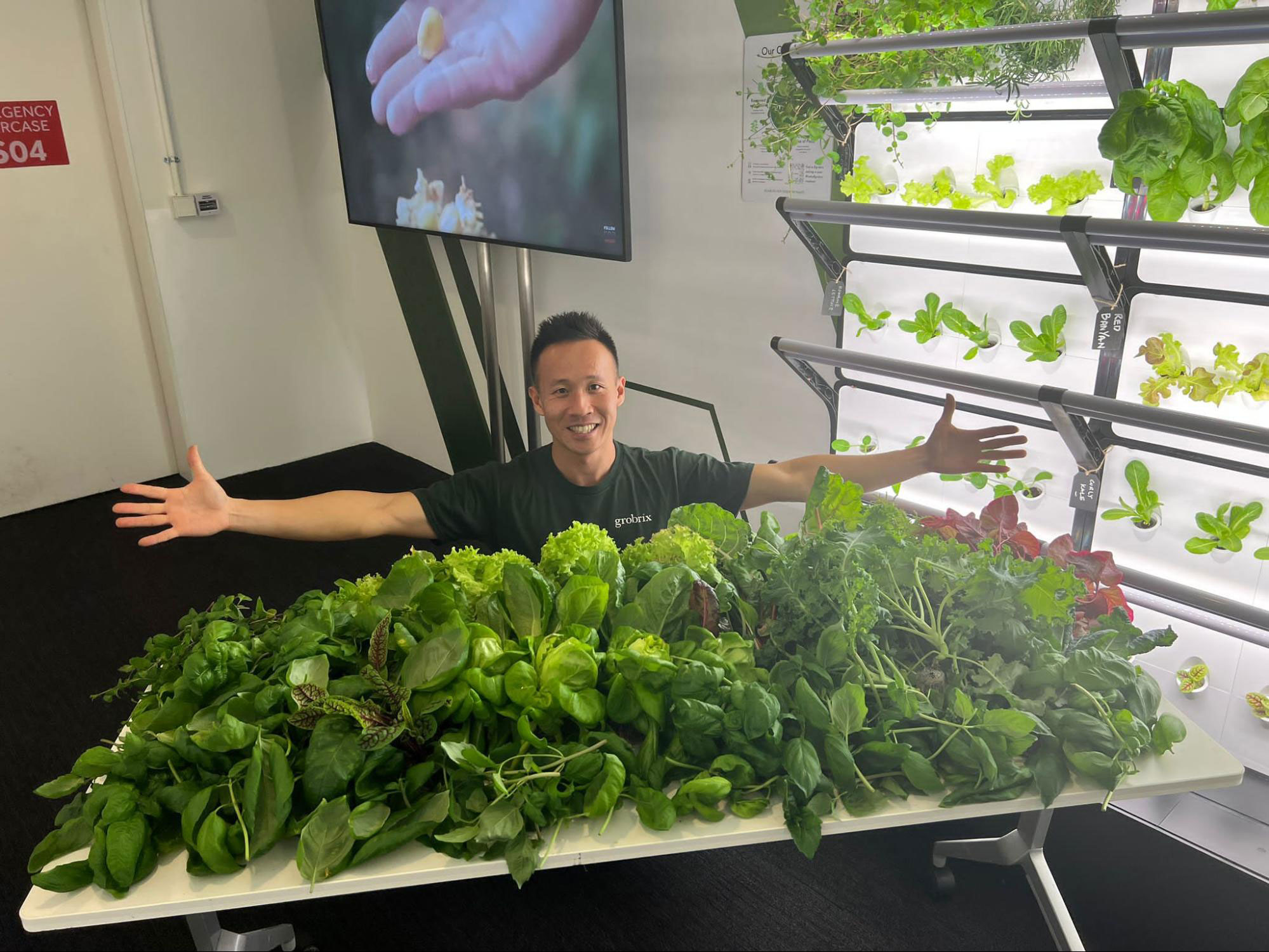 Yong Liang from Grobrix with a freshly harvested plethora of edible greens from a Grobrix vertical garden installation