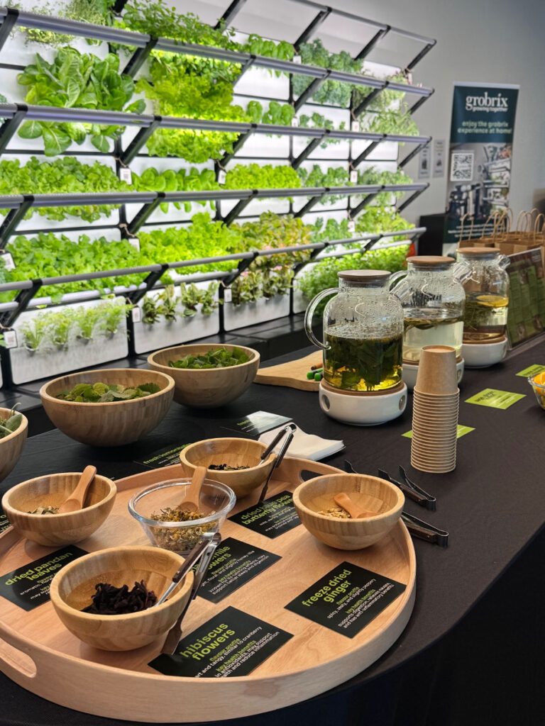Grobrix: Cultivating a Greener Future with Ericsson - Herbal Tea Workshop