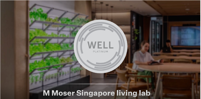 M Moser has achieved WELL certification via Grobrix