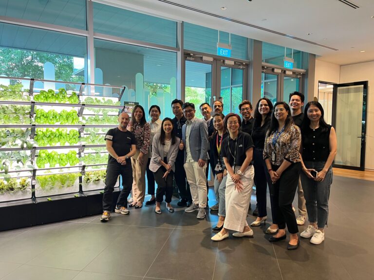 Citibank Team Harvest Day