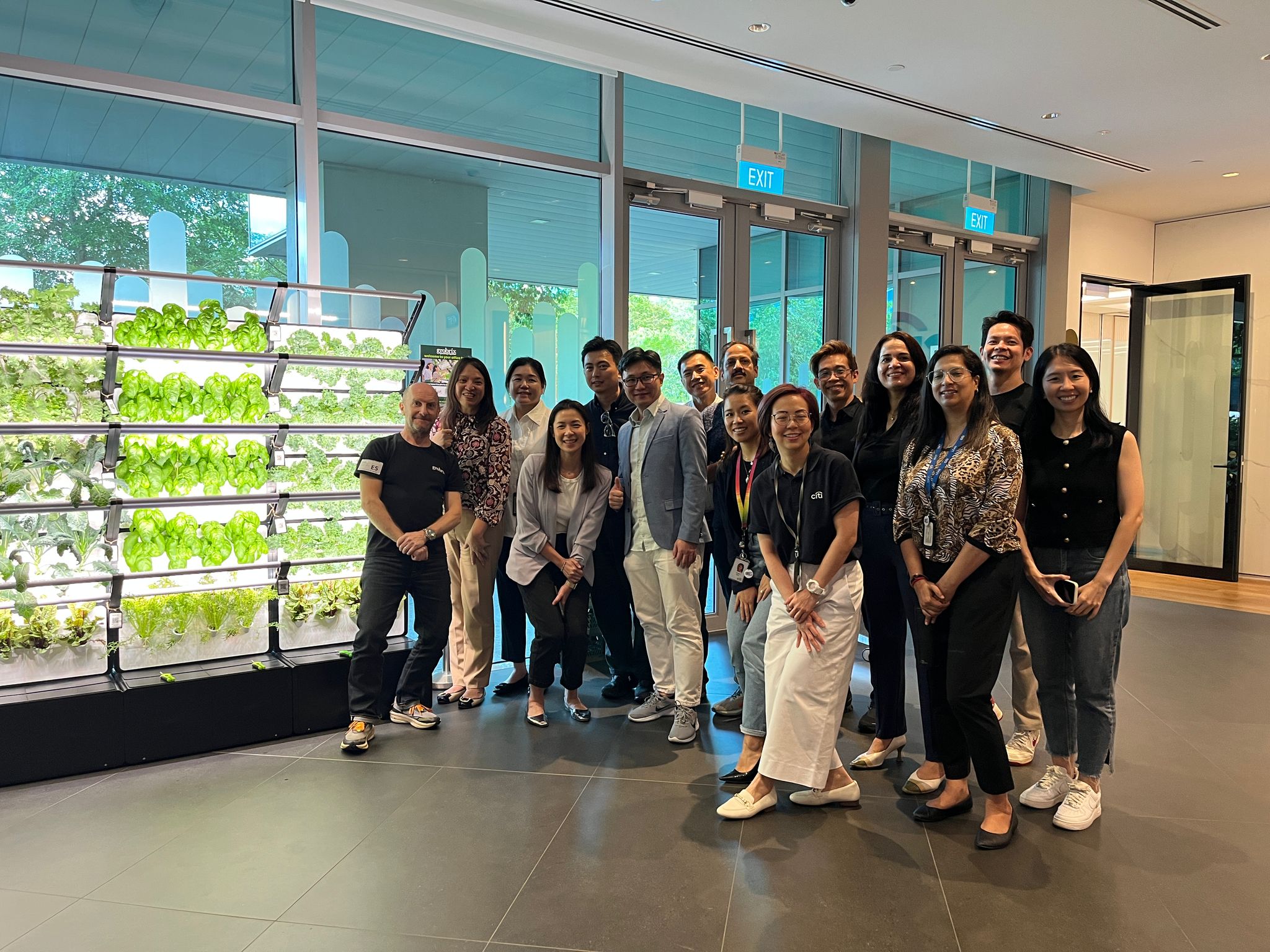 Grobrix partnered with Citibank for their first office harvest session via their Grobrix indoor urban farm