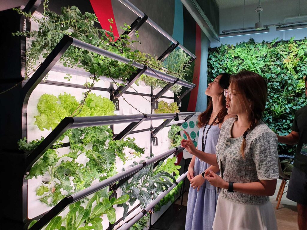 Promote employee engagement with a vertical office garden that encourages a return to office and boosts employee retention