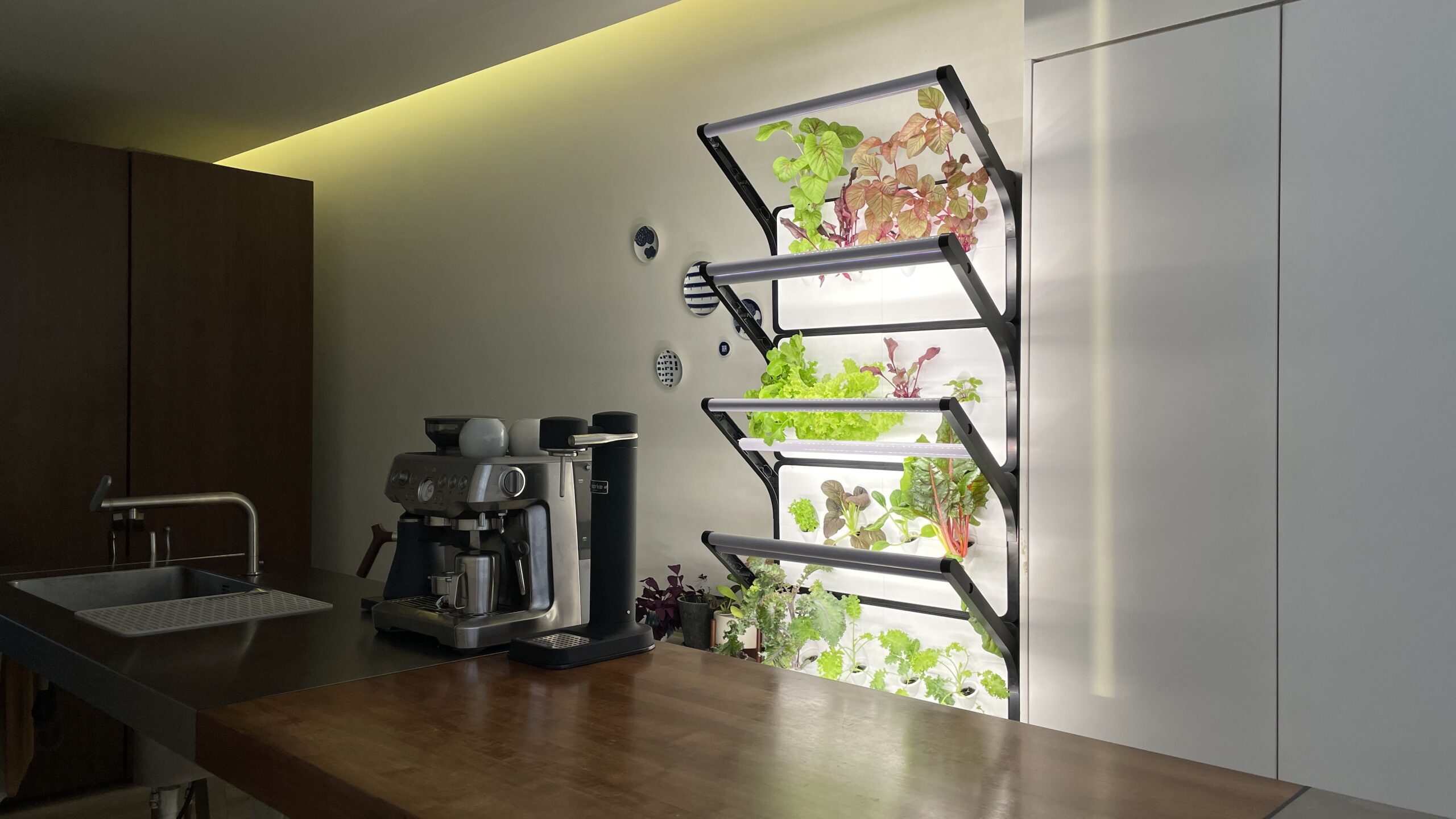 Grobrix Home installation in the Kitchen against a wall.